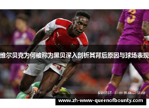 维尔贝克为何被称为黑贝深入剖析其背后原因与球场表现