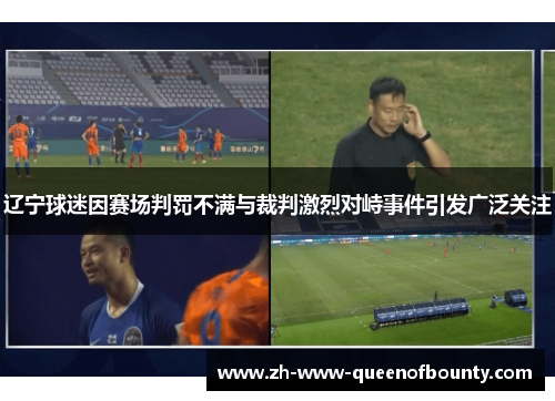 辽宁球迷因赛场判罚不满与裁判激烈对峙事件引发广泛关注