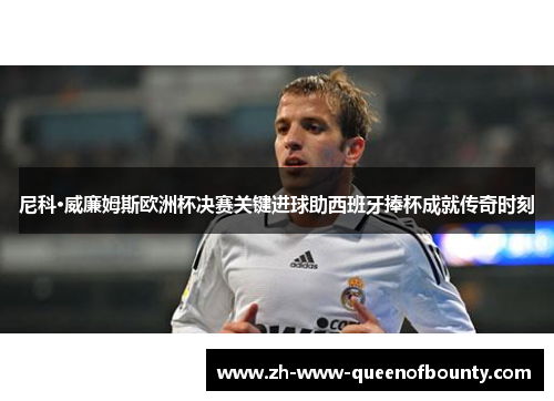 尼科·威廉姆斯欧洲杯决赛关键进球助西班牙捧杯成就传奇时刻 尼科·威廉姆斯欧洲杯决赛关键进球助西班牙捧杯成就传奇时刻
